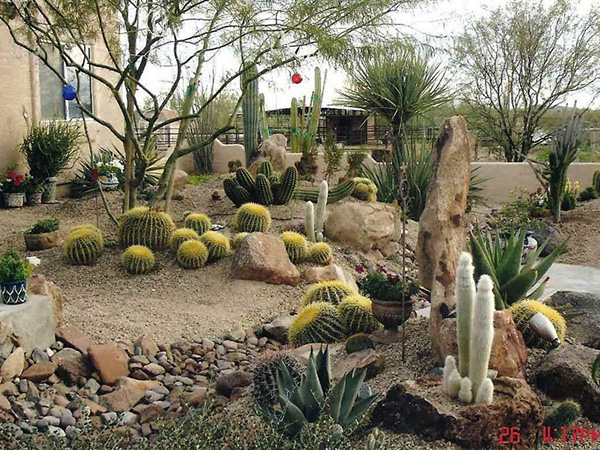 cactus-front-yard-landscaping-02_14 Кактус преден двор озеленяване