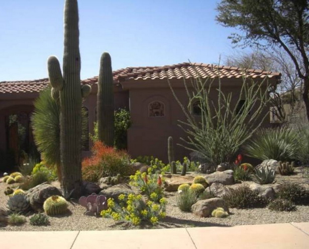 cactus-front-yard-landscaping-02_20 Кактус преден двор озеленяване