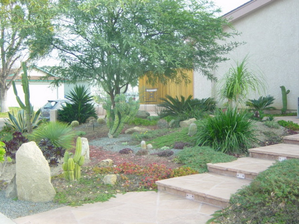cactus-front-yard-landscaping-02_3 Кактус преден двор озеленяване