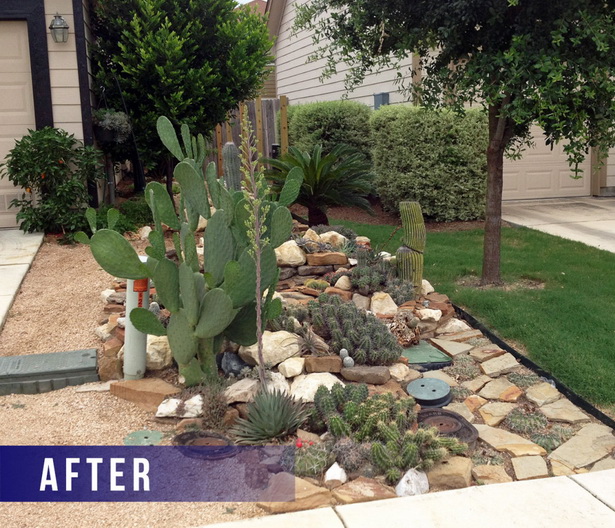 cactus-front-yard-landscaping-02_5 Кактус преден двор озеленяване