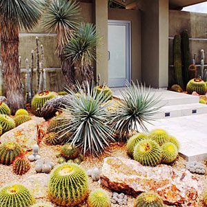 cactus-front-yard-landscaping-02_6 Кактус преден двор озеленяване