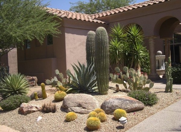 cactus-front-yard-landscaping-02_7 Кактус преден двор озеленяване