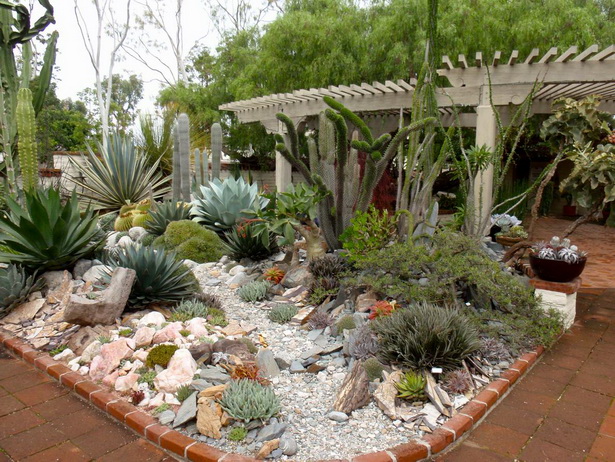 cactus-garden-ideas-landscape-63_12 Кактус градина идеи пейзаж