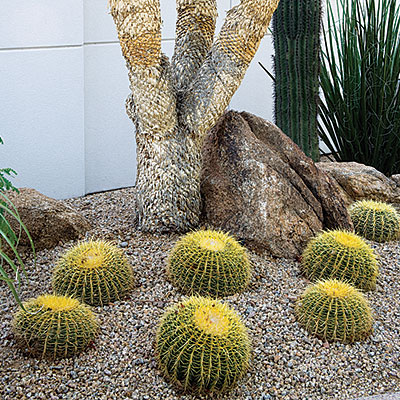 cactus-garden-ideas-landscape-63_3 Кактус градина идеи пейзаж