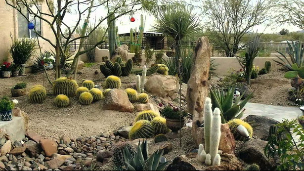 cactus-garden-ideas-landscape-63_4 Кактус градина идеи пейзаж