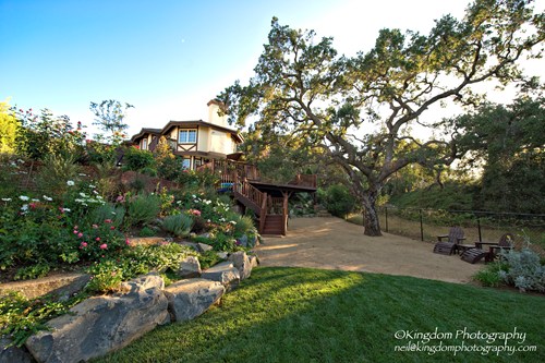california-backyard-landscaping-ideas-94_14 Калифорния задния двор озеленяване идеи