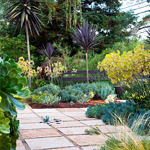 california-backyard-landscaping-ideas-94_6 Калифорния задния двор озеленяване идеи