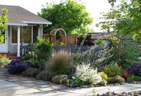 california-front-yard-landscaping-ideas-68_20 Калифорния фронт двор озеленяване идеи