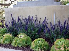 cheap-front-yard-landscaping-ideas-48_5 Евтини идеи за озеленяване на предния двор