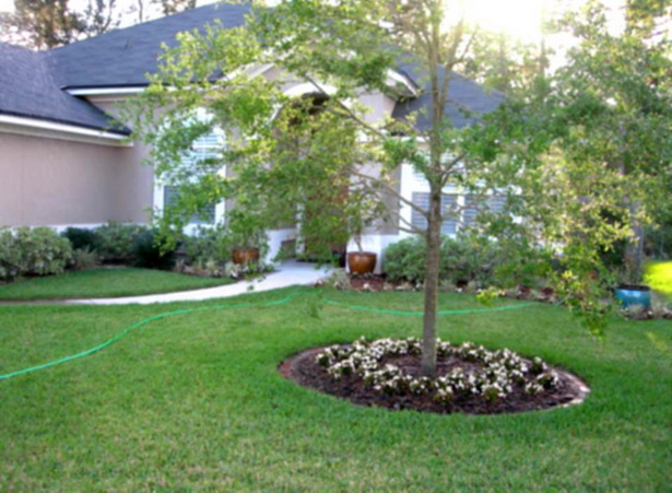 cheap-landscaping-ideas-for-front-of-house-98_13 Евтини идеи за озеленяване за предната част на къщата