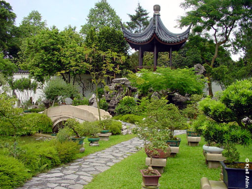 chinese-and-japanese-gardens-54_19 Китайски и японски градини