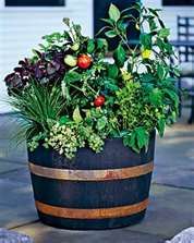 container-garden-ideas-vegetables-43_13 Контейнер градински идеи зеленчуци