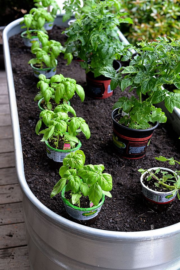 container-garden-ideas-vegetables-43_16 Контейнер градински идеи зеленчуци