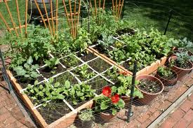 container-vegetable-gardening-ideas-83 Контейнер зеленчуци градинарство идеи