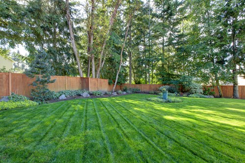 cost-to-landscape-backyard-73_9 Разходи за ландшафтен двор