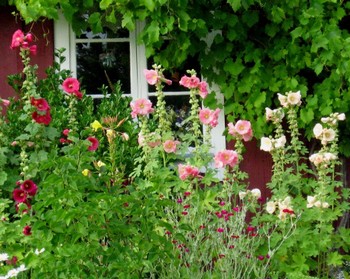 cottage-flower-beds-28_6 Вила цветни лехи