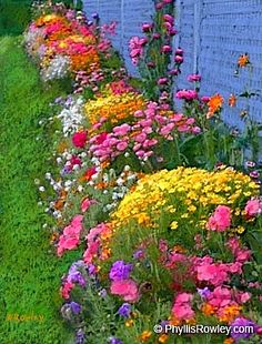 cottage-flower-garden-74_13 Вила цветна градина