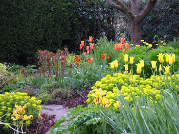 cottage-garden-design-pictures-79_18 Вила градина дизайн снимки