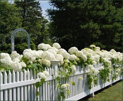 cottage-garden-fence-ideas-58_14 Вила градина ограда идеи