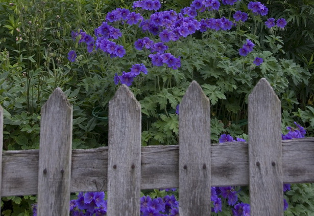 cottage-garden-fence-01_6 Вила градина ограда
