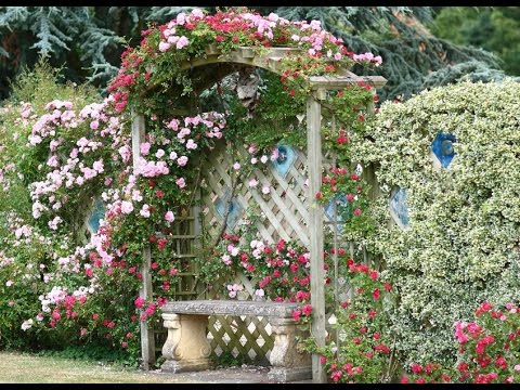 cottage-garden-ideas-pictures-86_7 Вила градина Идеи снимки