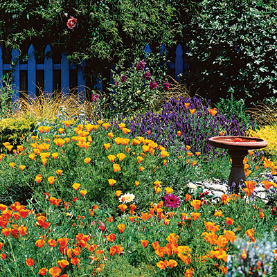 cottage-garden-images-12_14 Вила градина снимки