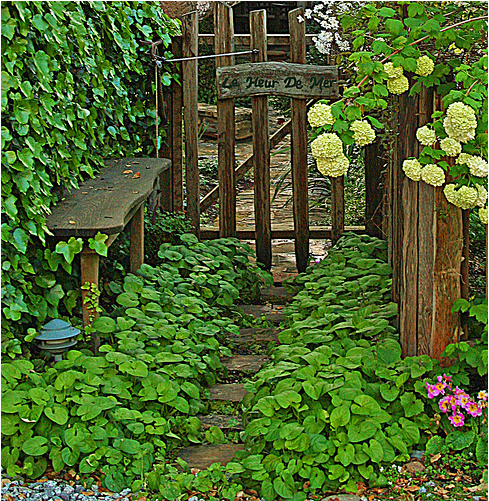 cottage-garden-inspiration-63 Вила градина вдъхновение