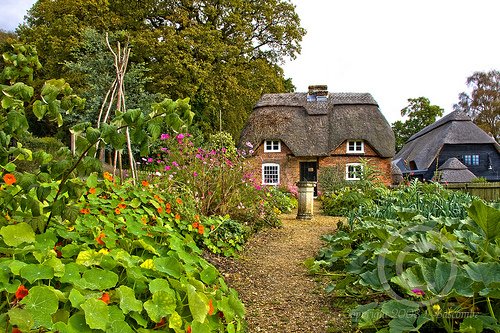 cottage-garden-inspiration-63_7 Вила градина вдъхновение