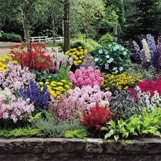 cottage-garden-perennials-90_11 Вила градина трайни насаждения