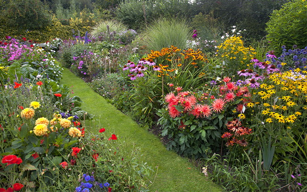 cottage-garden-perennials-90_13 Вила градина трайни насаждения