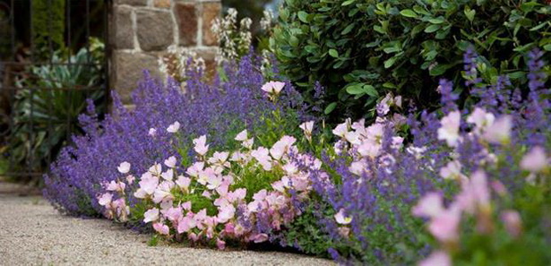 cottage-garden-perennials-90_3 Вила градина трайни насаждения