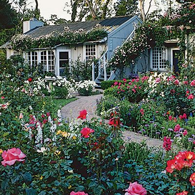 cottage-garden-perennials-90_5 Вила градина трайни насаждения