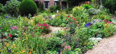 cottage-garden-perennials-90_6 Вила градина трайни насаждения