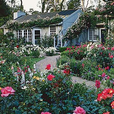 cottage-garden-photos-56_17 Вила градина снимки