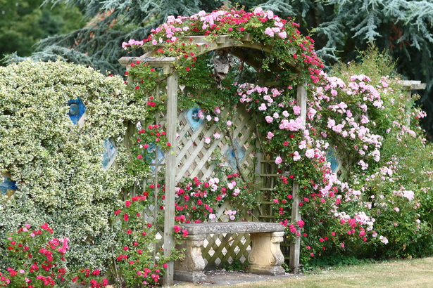 cottage-garden-pictures-21_10 Вила градина снимки