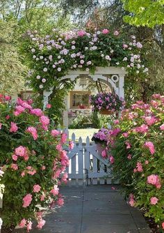 cottage-garden-pinks-21_8 Вила Градина розово