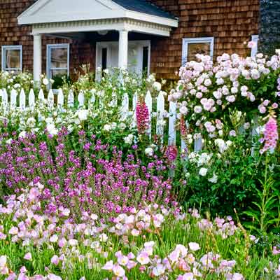 cottage-garden-pinks-21_9 Вила Градина розово