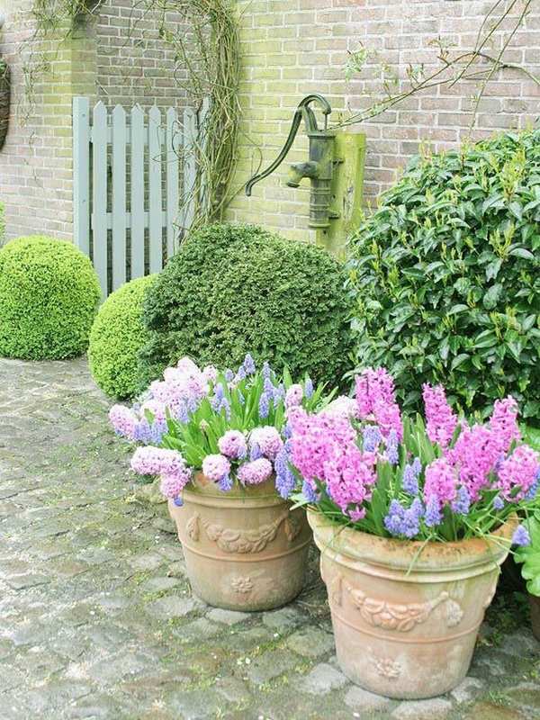 cottage-garden-pots-38_13 Вила градински саксии