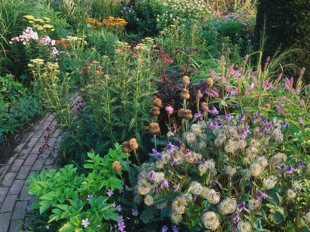 cottage-garden-shrubs-ideas-02_10 Вила градина храсти идеи