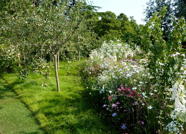 cottage-garden-shrubs-74_17 Вила градински храсти
