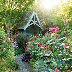 cottage-garden-style-67_13 Вила градина стил