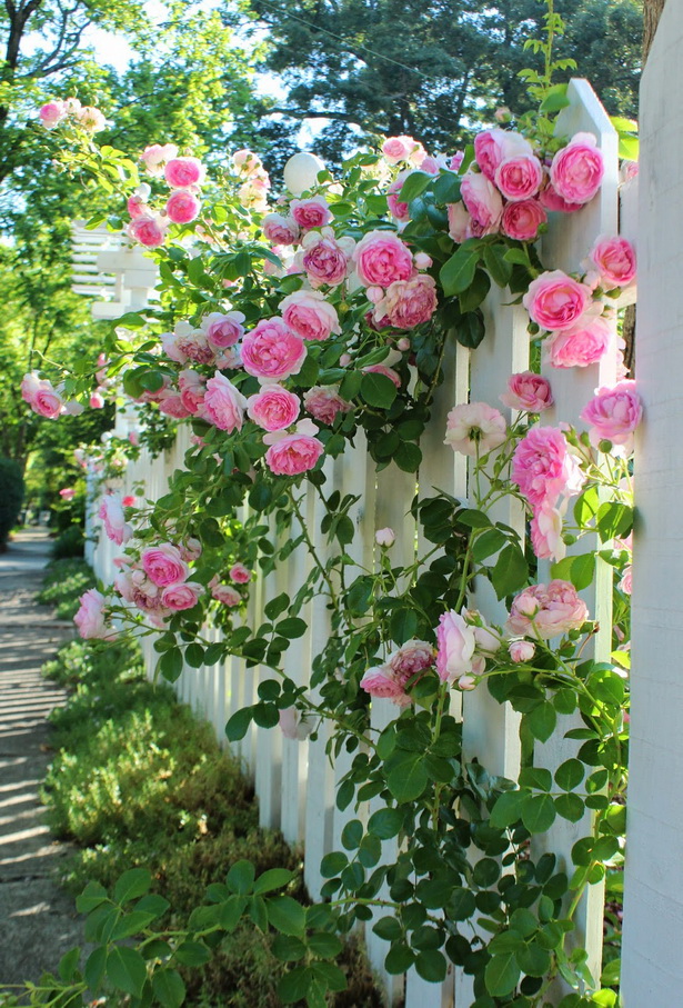 cottage-rose-garden-96_14 Вила Роза градина