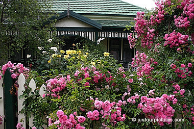 cottage-rose-garden-96_2 Вила Роза градина