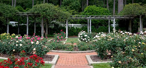 cottage-rose-garden-96_4 Вила Роза градина