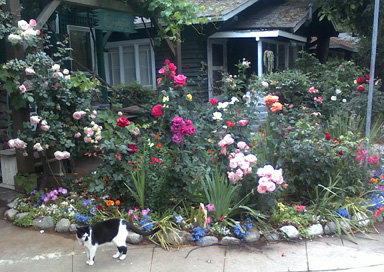 cottage-rose-garden-96_5 Вила Роза градина