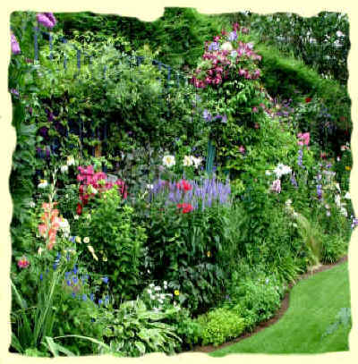 cottage-style-garden-plants-01_4 Вила стил градински растения