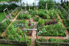 cottage-vegetable-garden-design-91 Вила зеленчукова градина дизайн