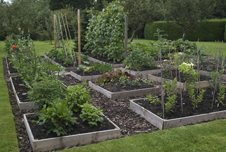 cottage-vegetable-garden-design-91_18 Вила зеленчукова градина дизайн