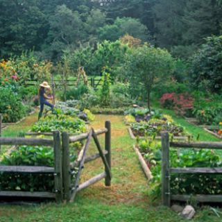 country-backyard-landscaping-ideas-66 Идеи за озеленяване на задния двор