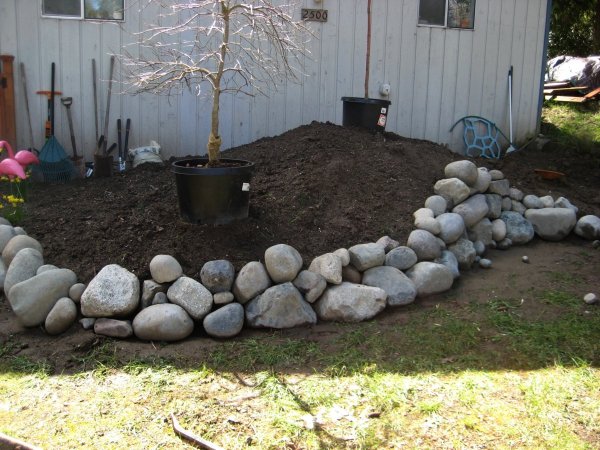 creating-a-rockery-in-your-garden-30 Създаване на алпинеум във вашата градина